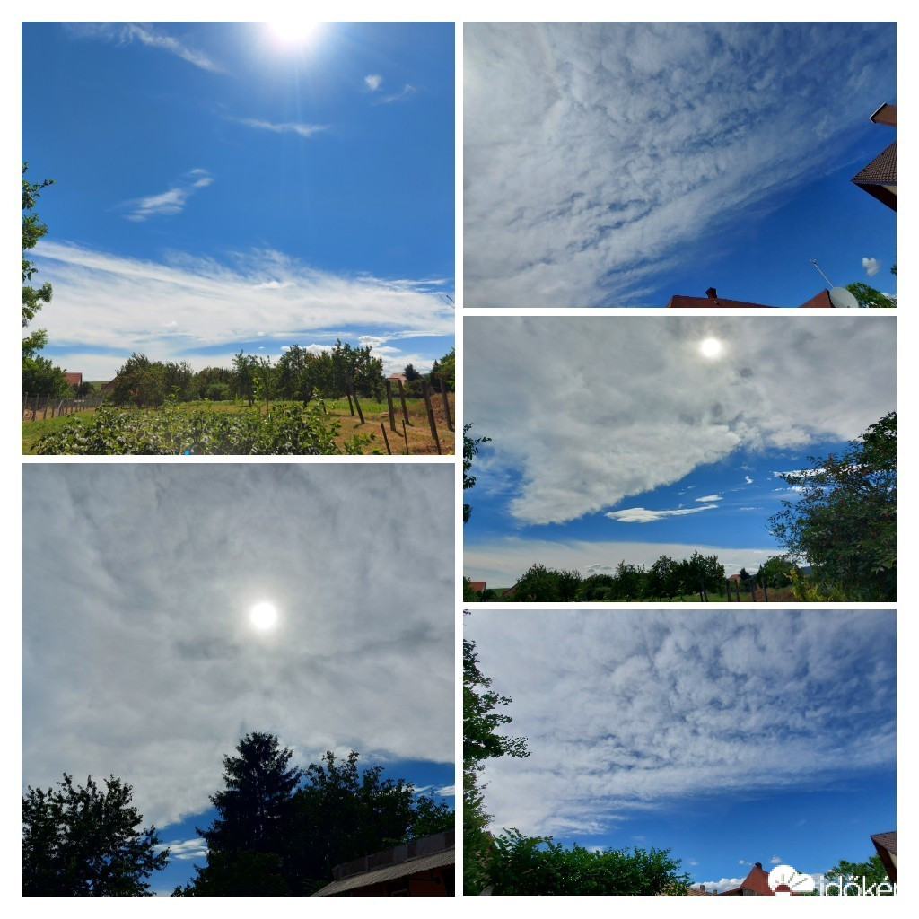 Szár
