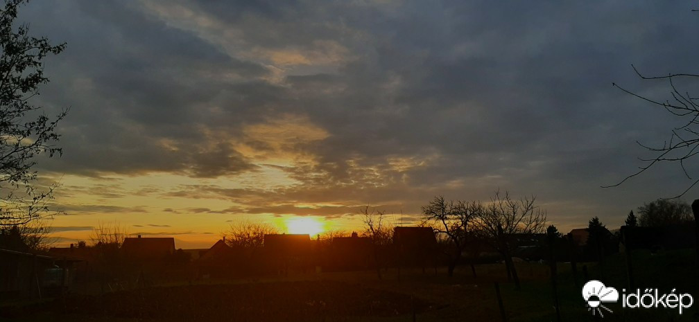 Szár