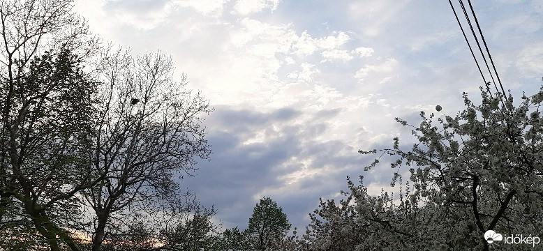Szár