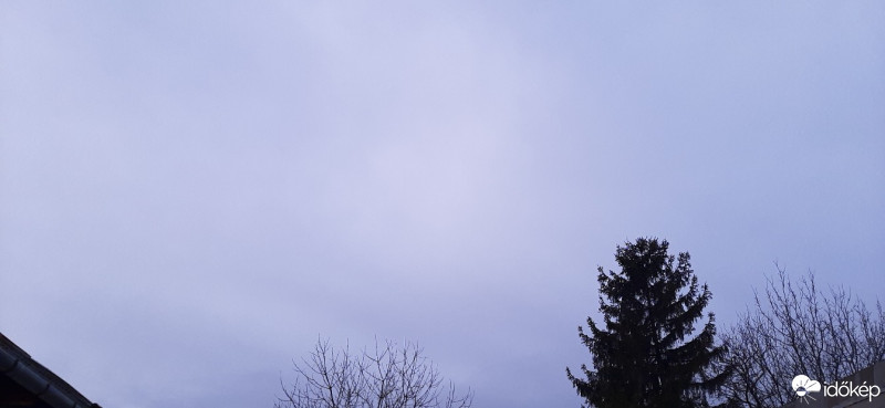 Szár