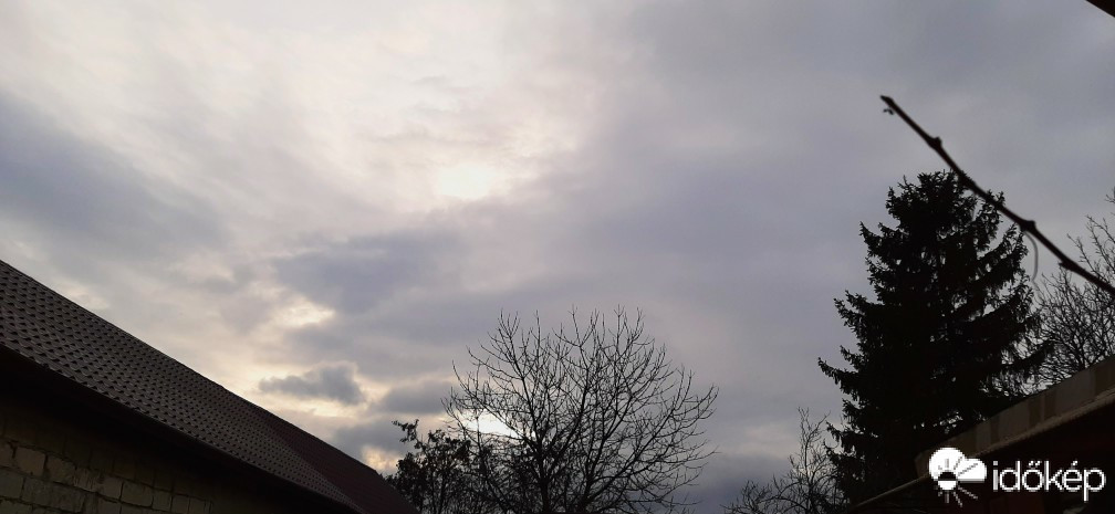 Szár
