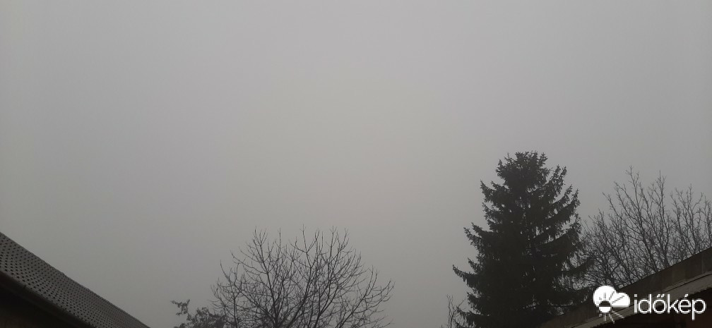 Szár