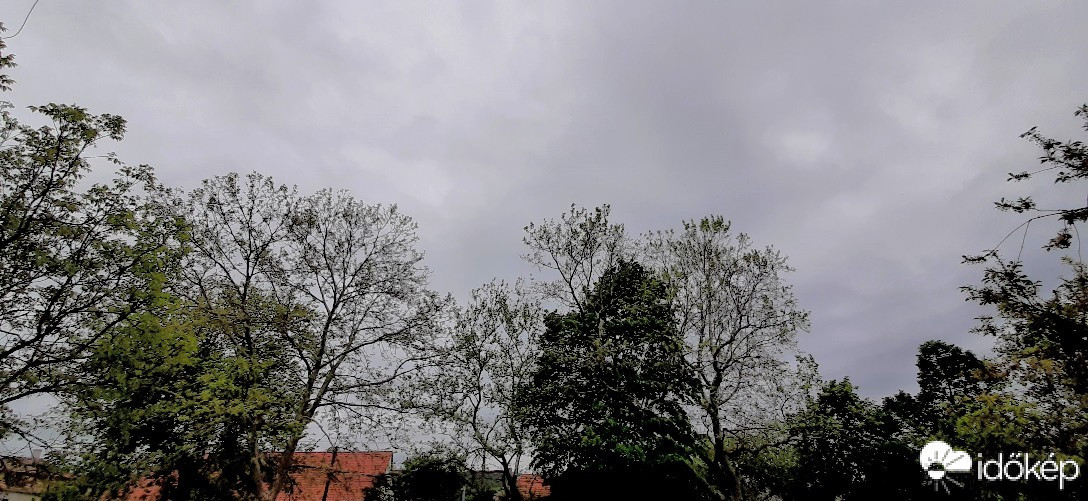 Szár