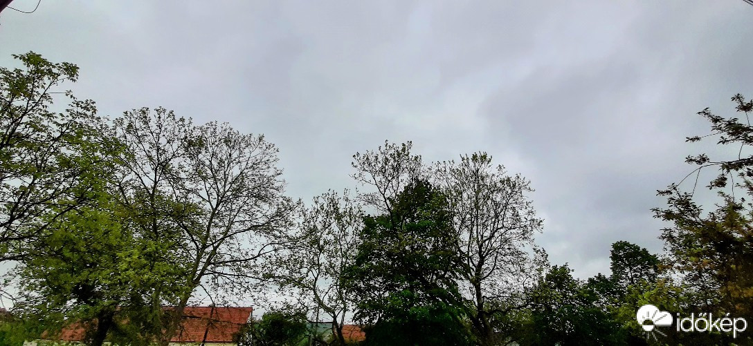 Szár