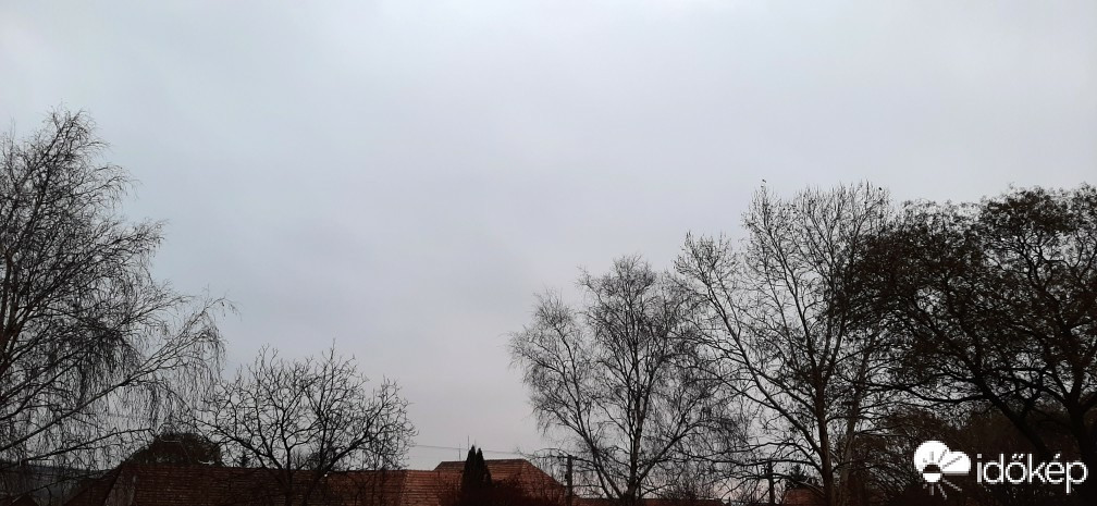 Szár