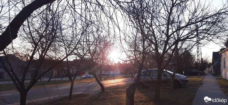 Szár