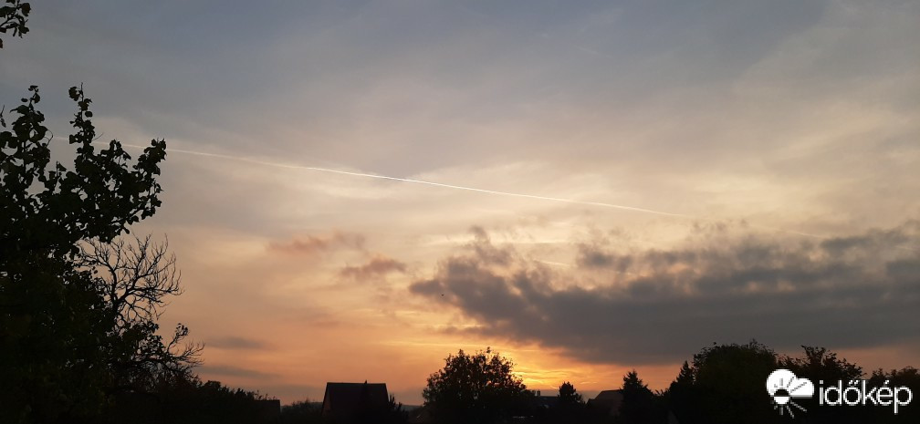 Szár