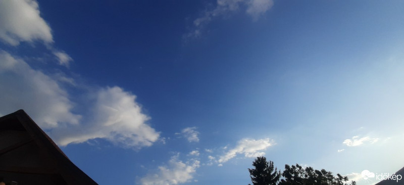 Szár