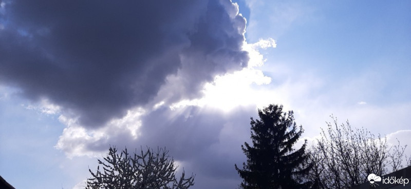 Szár