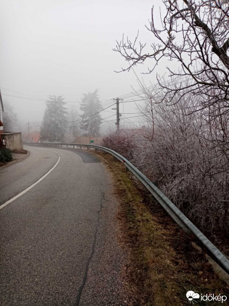 Szár