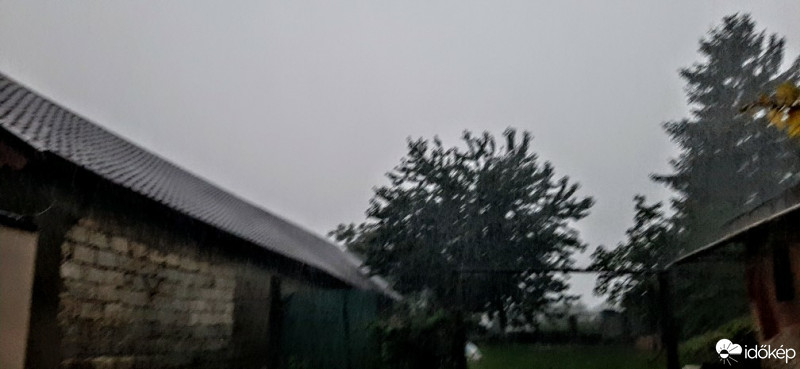 Szár