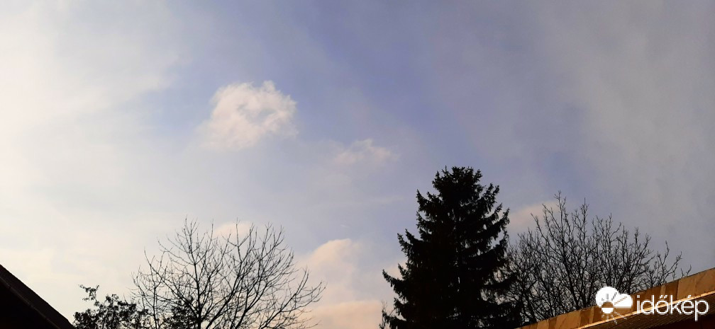 Szár