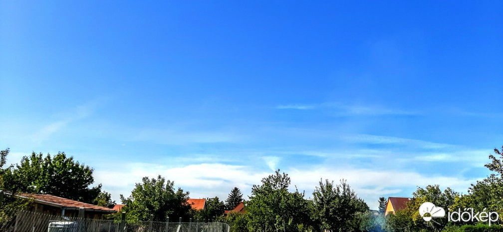Szár