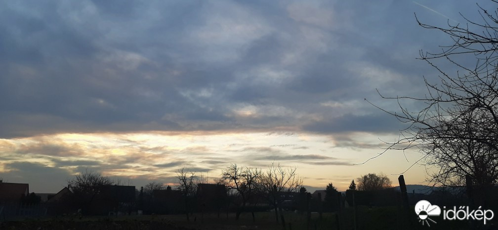 Szár