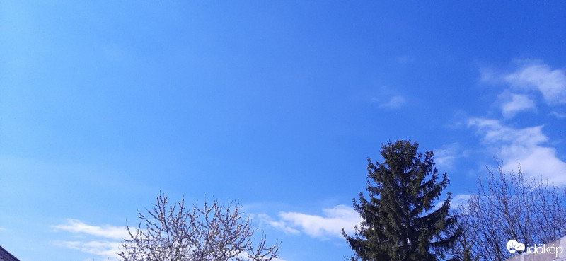 Szár