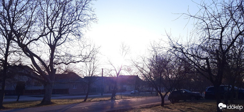 Szár