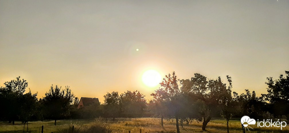 Szár