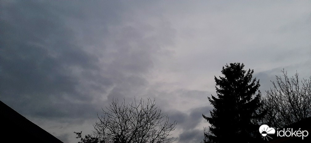 Szár