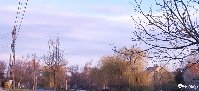 Szár