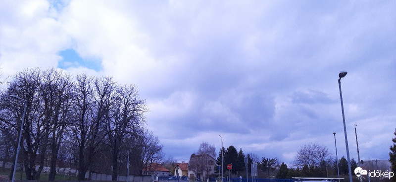 Szár