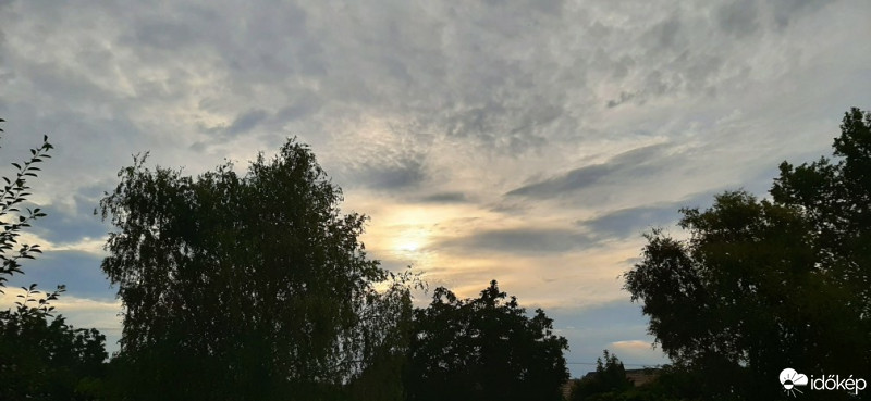 Szár