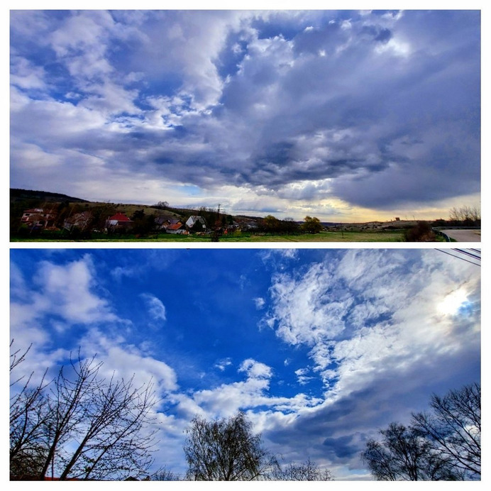 Szár