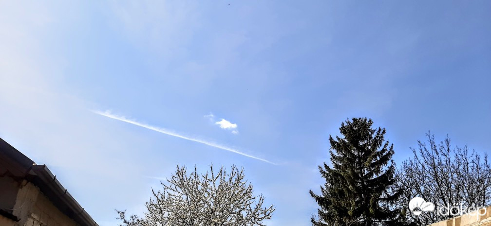Szár