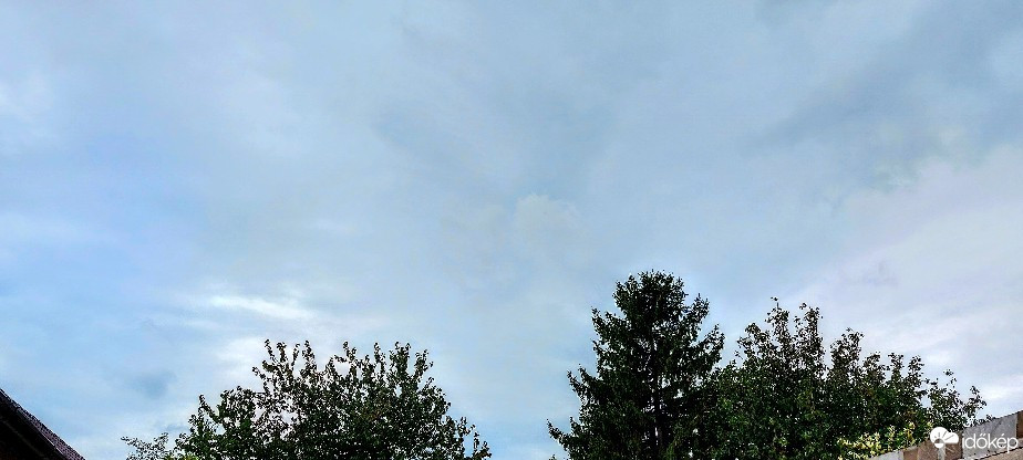 Szár