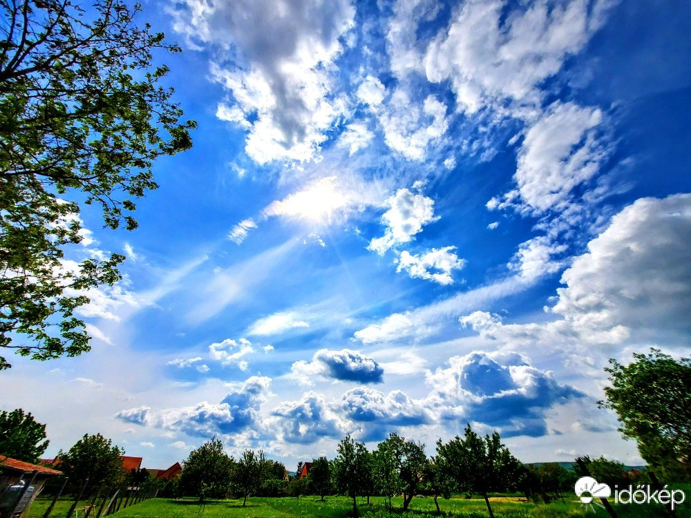 Szár