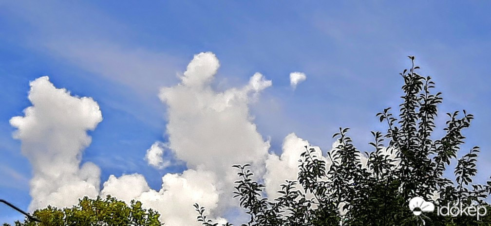 Szár