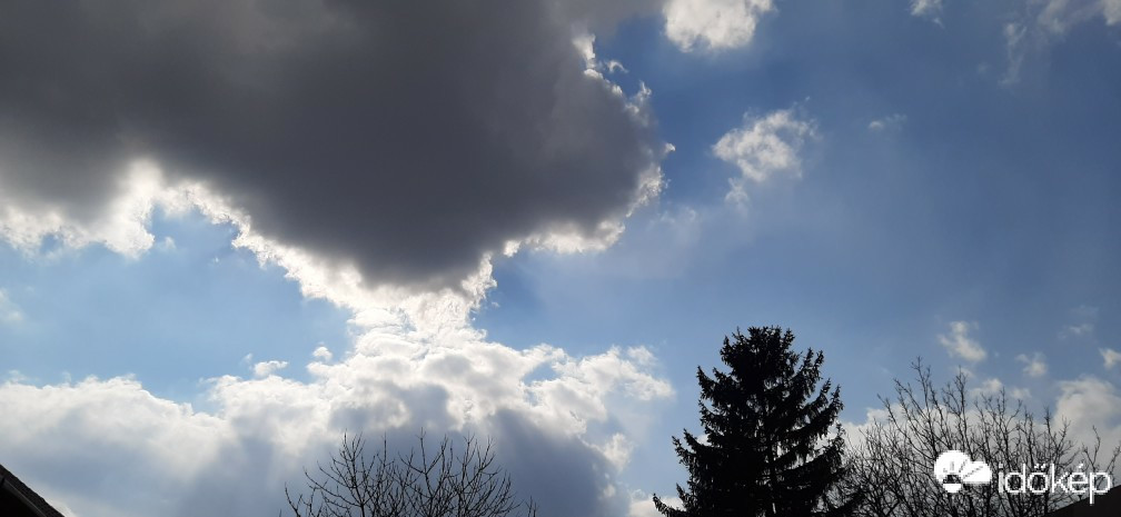 Szár