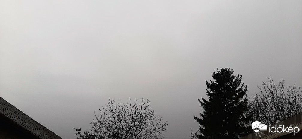 Szár