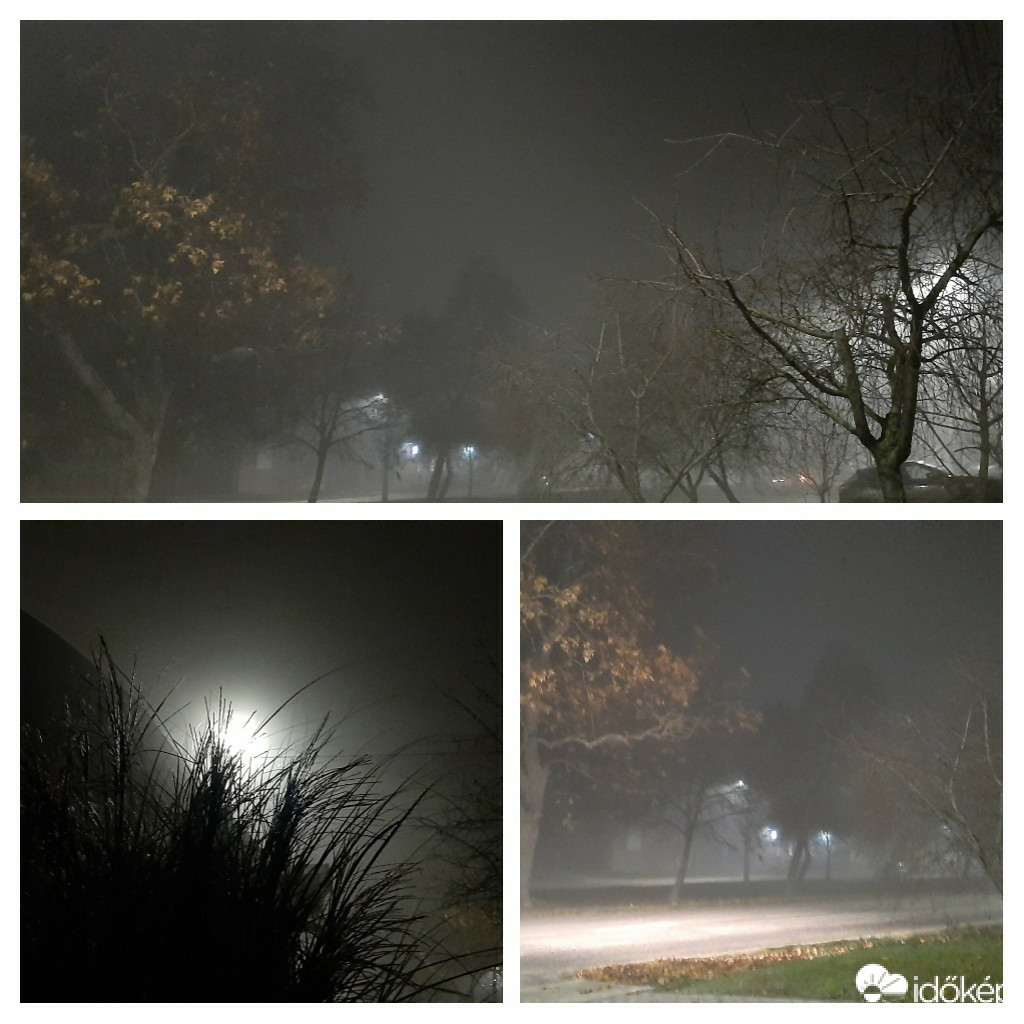 Szár
