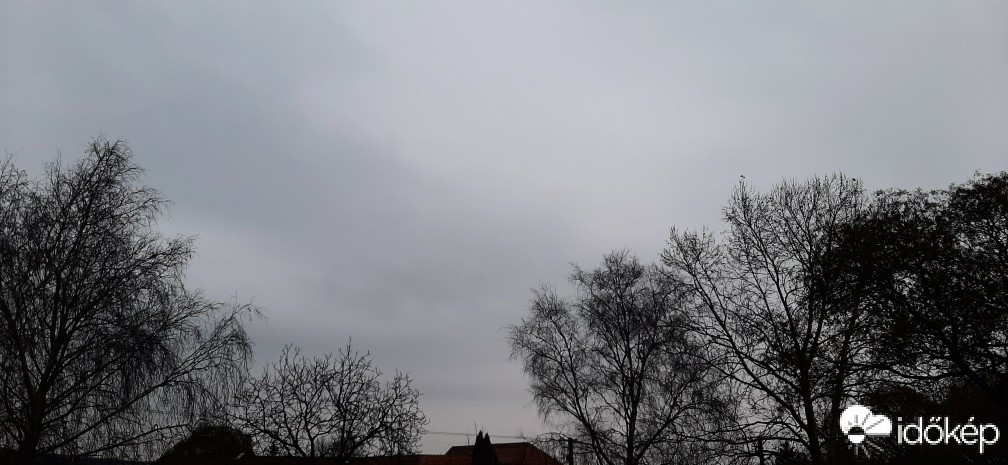 Szár