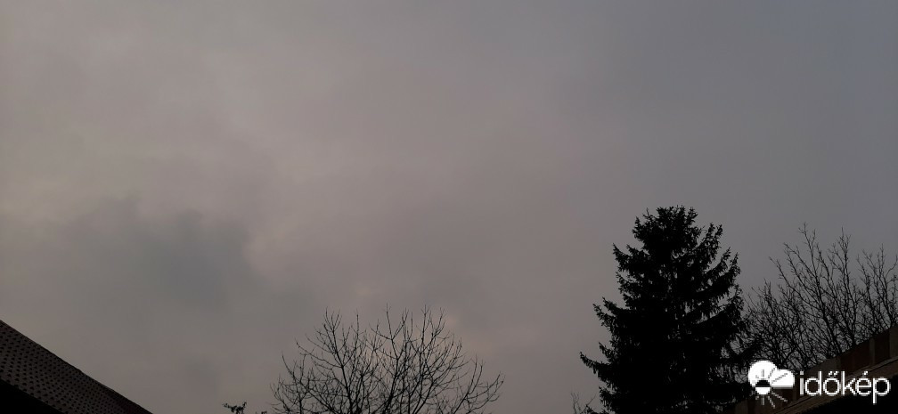 Szár
