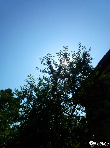 Szár