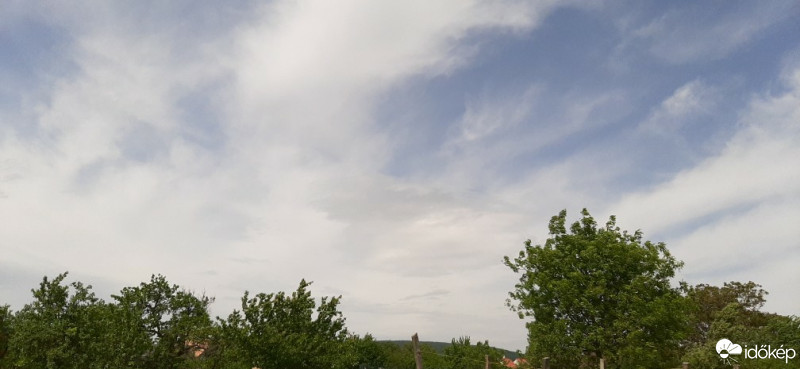 Szár