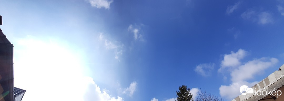 Szár