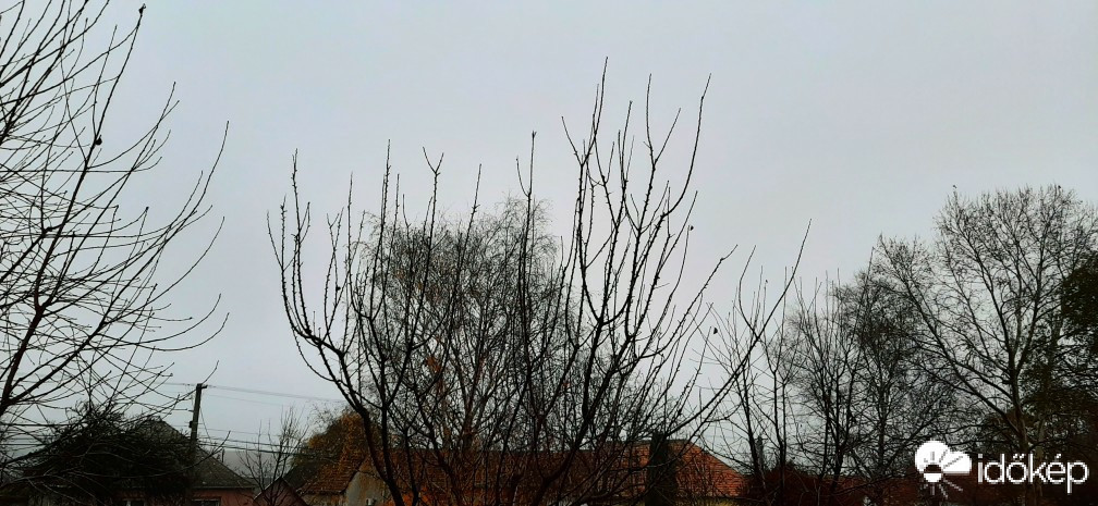 Szár