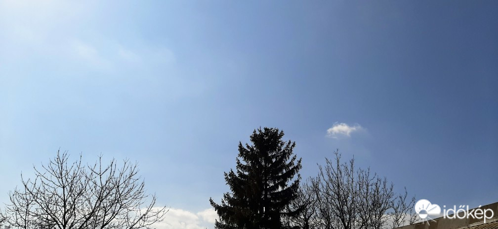Szár