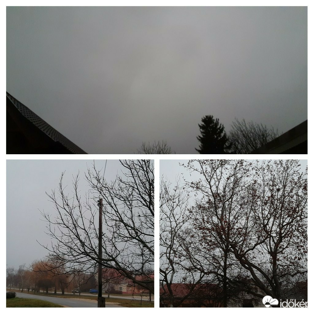 Szár