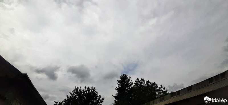 Szár