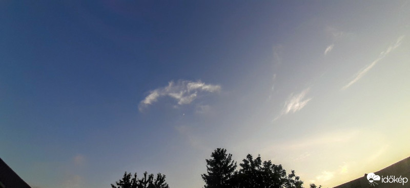 Szár