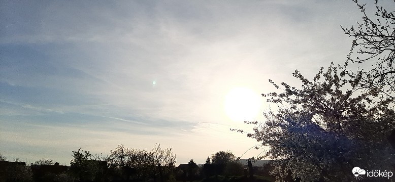 Szár