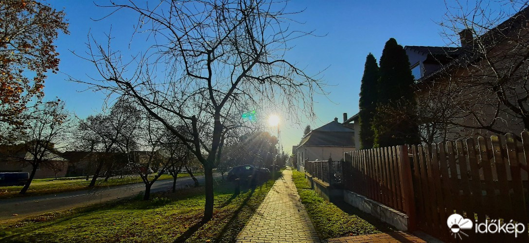 Szár