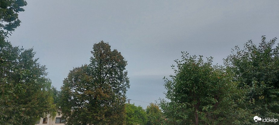 Szár