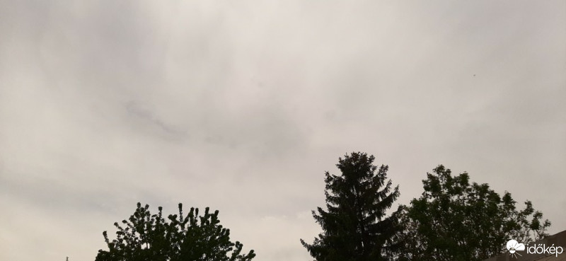 Szár