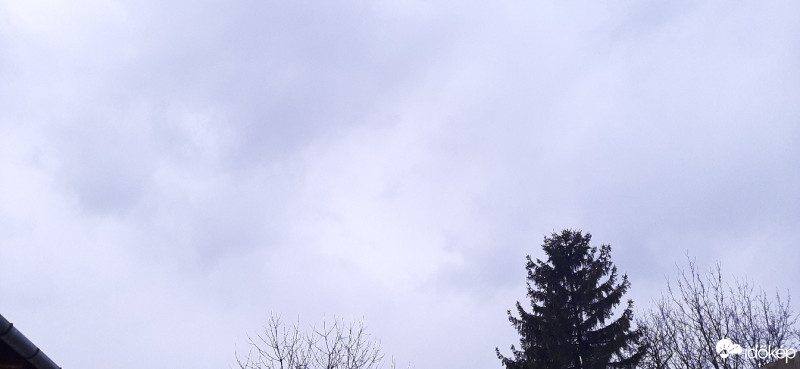 Szár