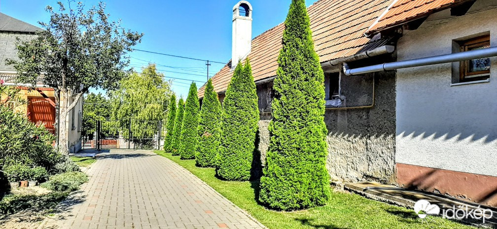 Szár