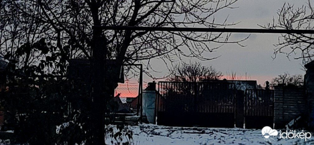 Szár